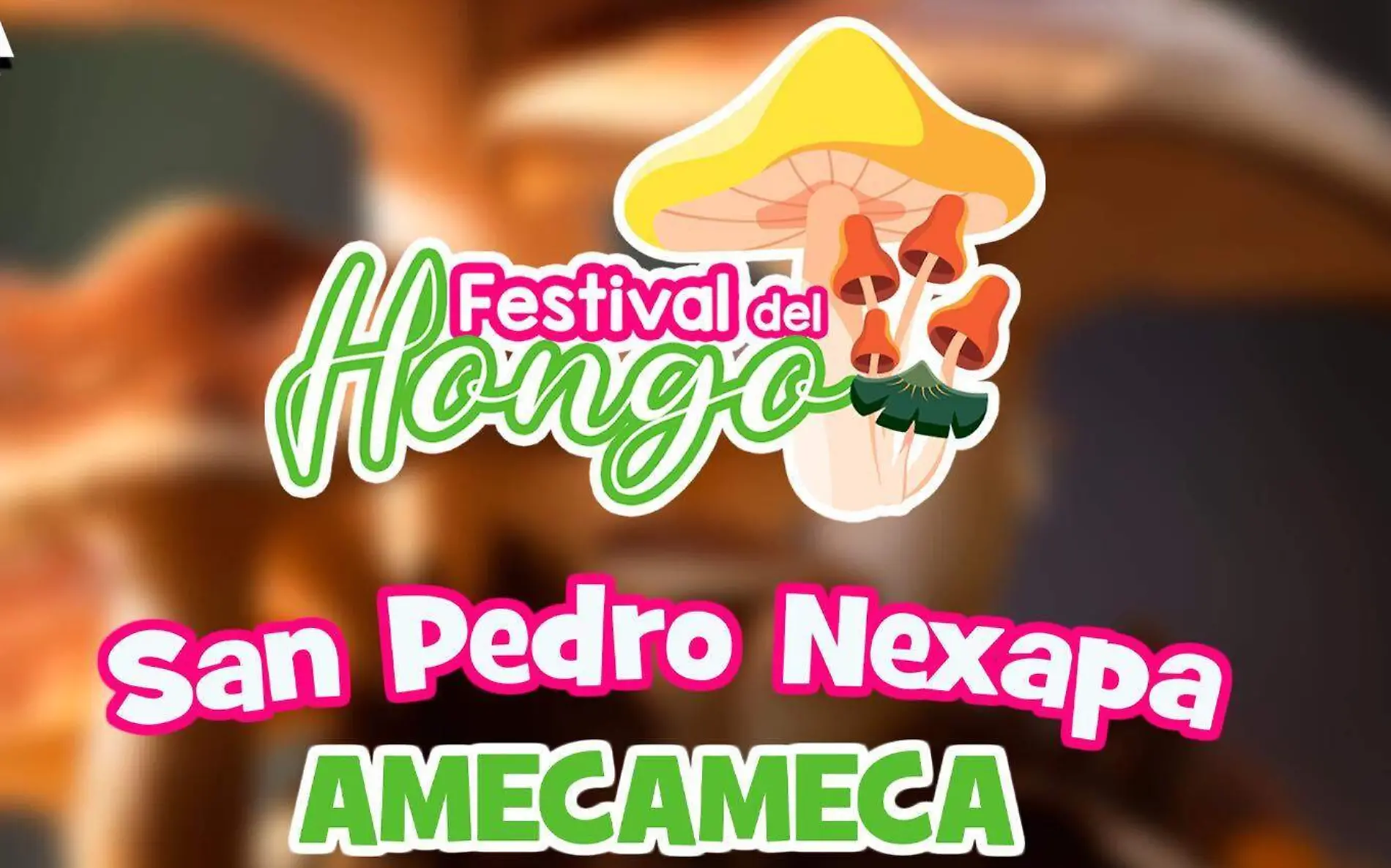 Feria del hongo